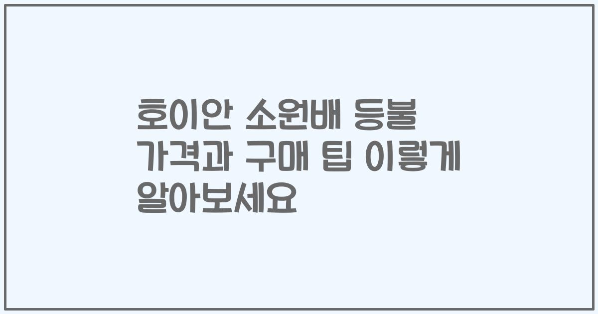 호이안 소원배 등불 가격과 구매 팁 이렇게 알아보세요